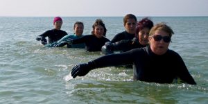 Mélange longe côte aquagym en mer pour tous Dimanche  22 Mars 10H à  St cieux  Lancieux