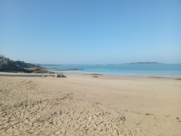 Point du jour 4 mars 10 IMG 20250303 123332