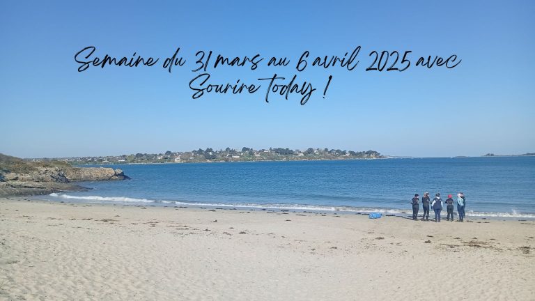 Blanc Gris Net Grille Famille Video Montage