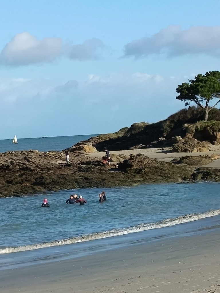 img 20251024 wa00003060842643300881925