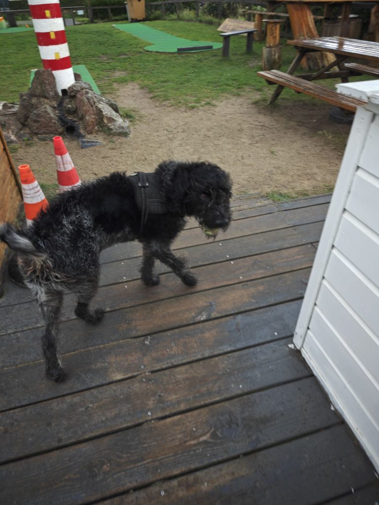 img202510231047115788778321415482278