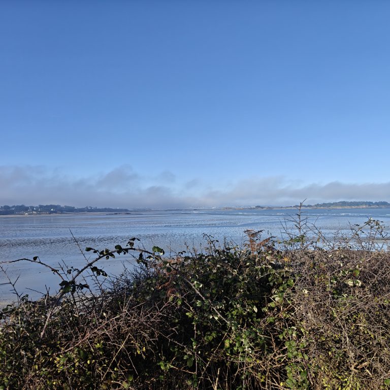 Chorégraphie de Noël 6 IMG20251203110445