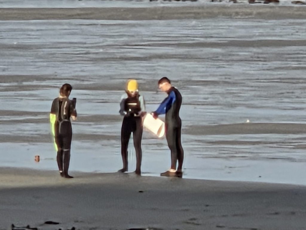 img 20251130 wa00298927020225061264281