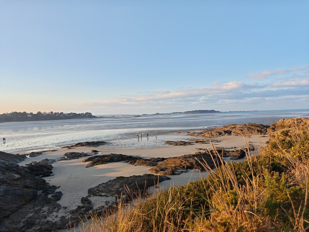 img 20251225 1628561693725836710469451