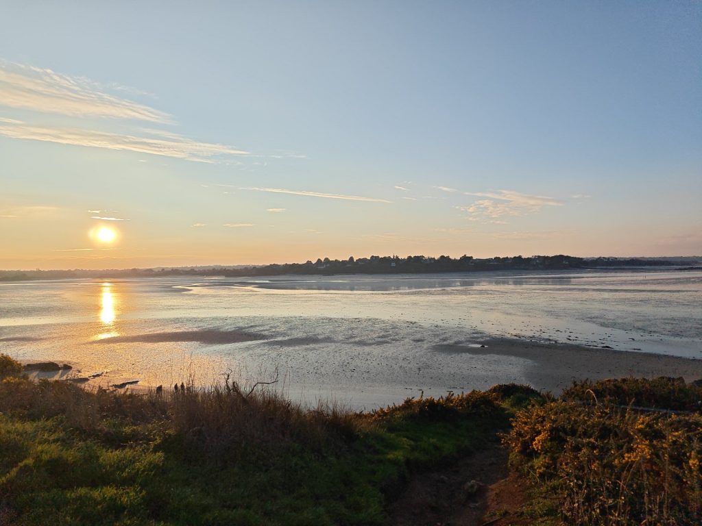 img 20251225 1640406802901652389619109