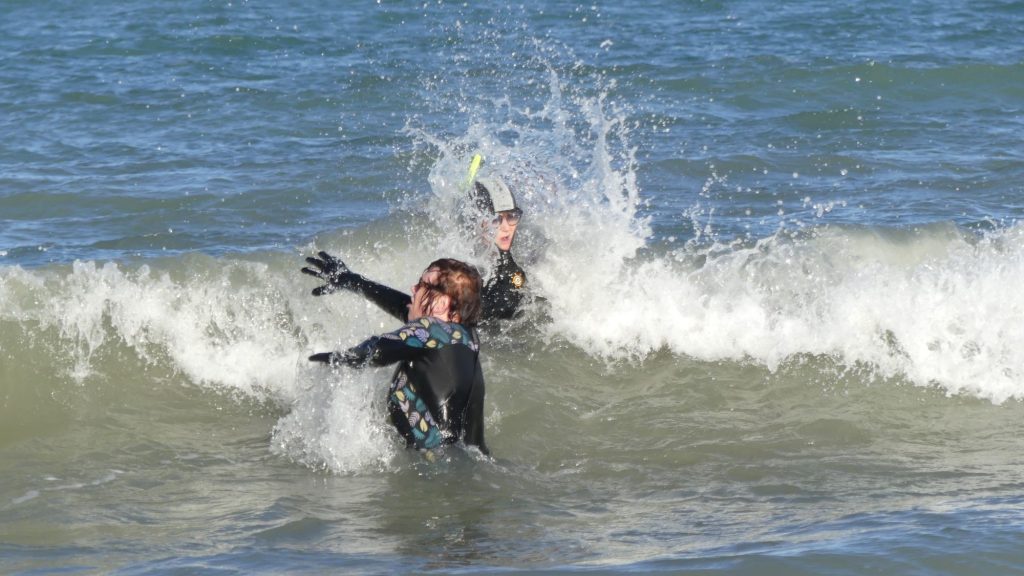 p1110580 cr1737387869881205044