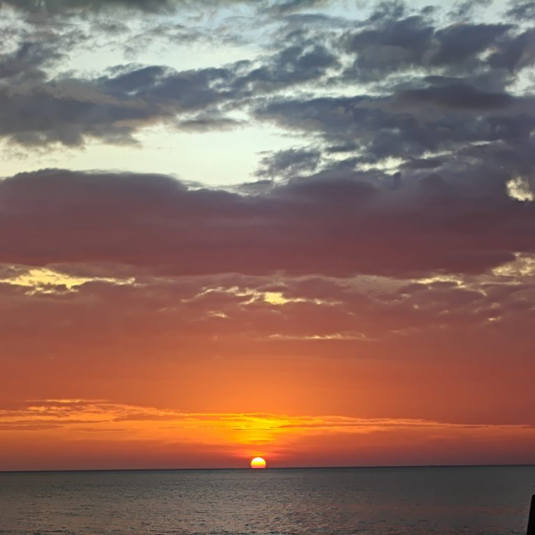 Hello hello 1 IMG20260124182705