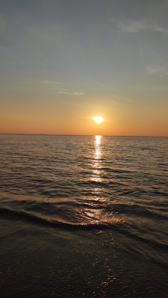 img 20260112 wa00053274627118627038747