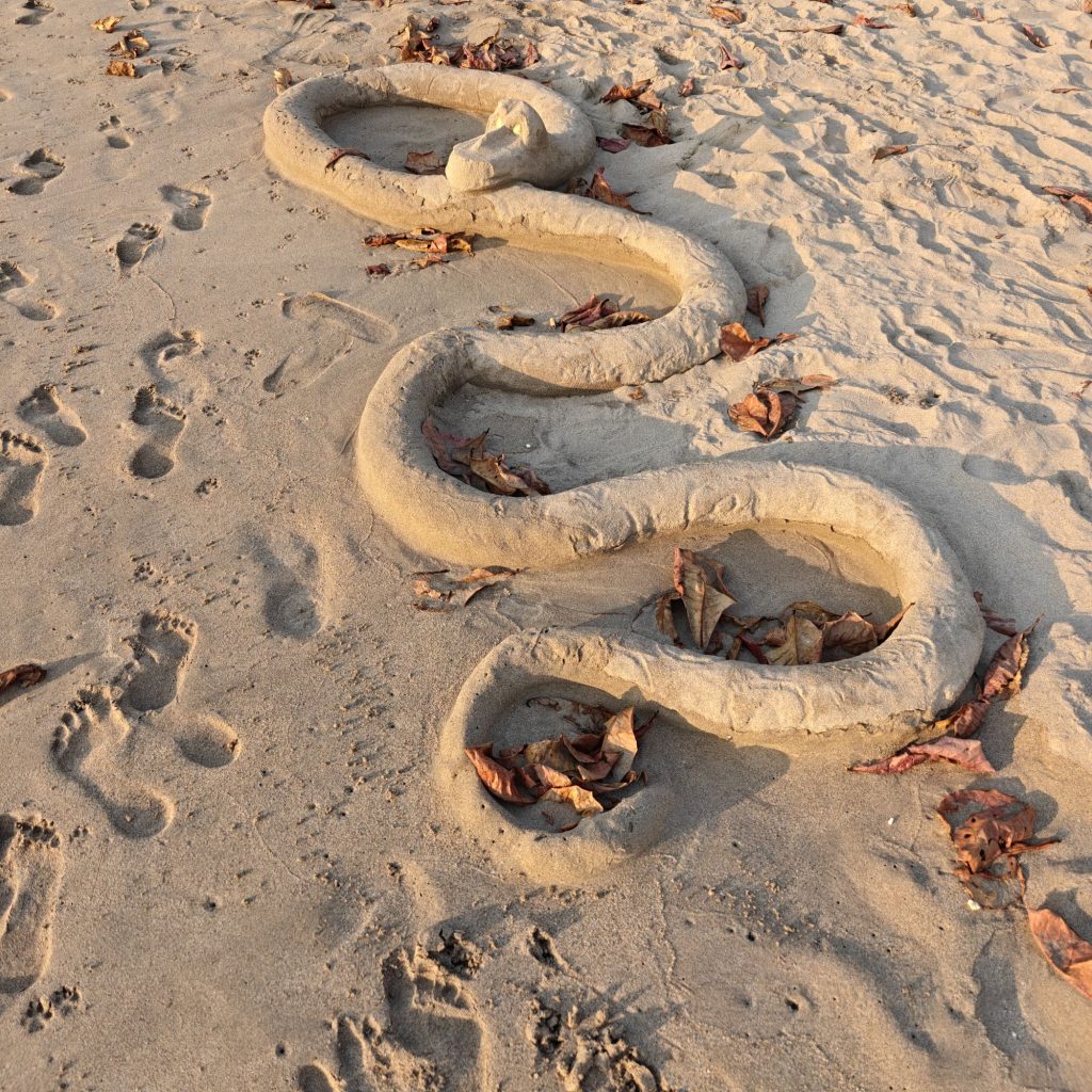 img202601121756575854378945792884929