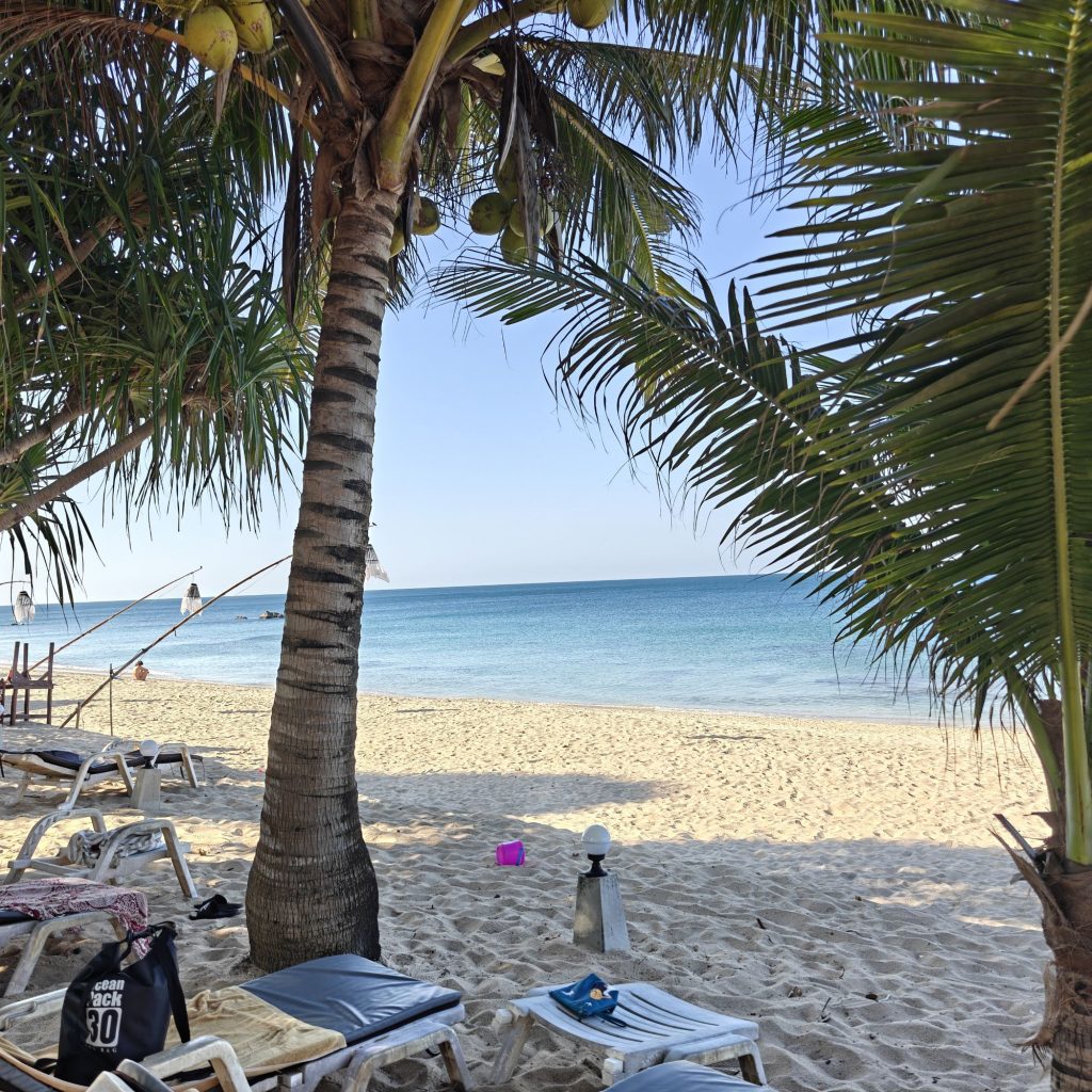 img202601130849058567551705445696511