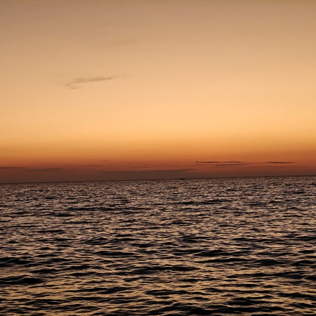 img202601131845055053962053145655445