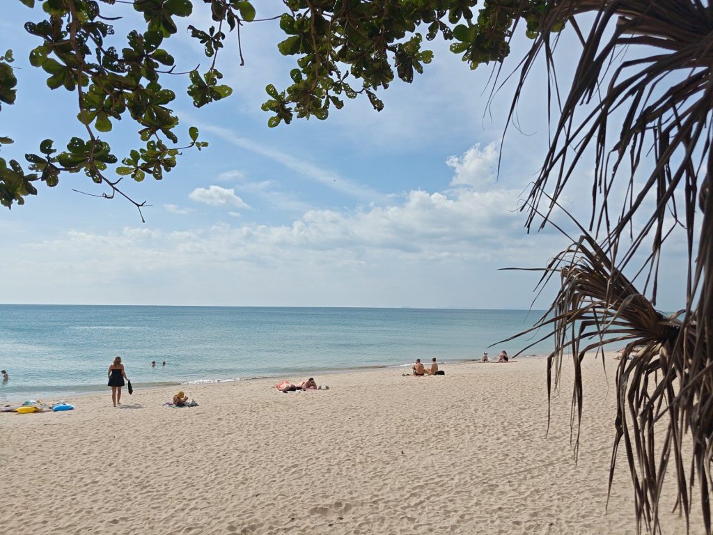 img 20260109 1439075398490879901282006