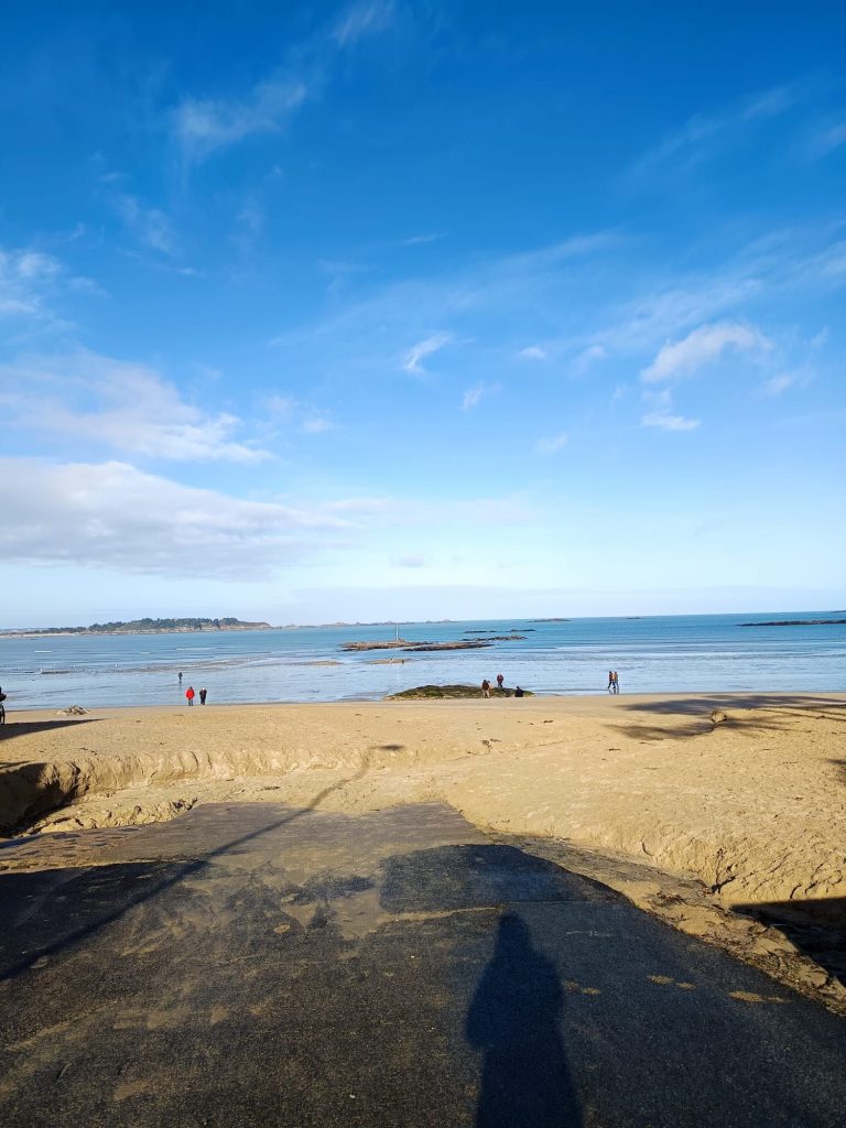 img 20260201 wa00046934680241361718147