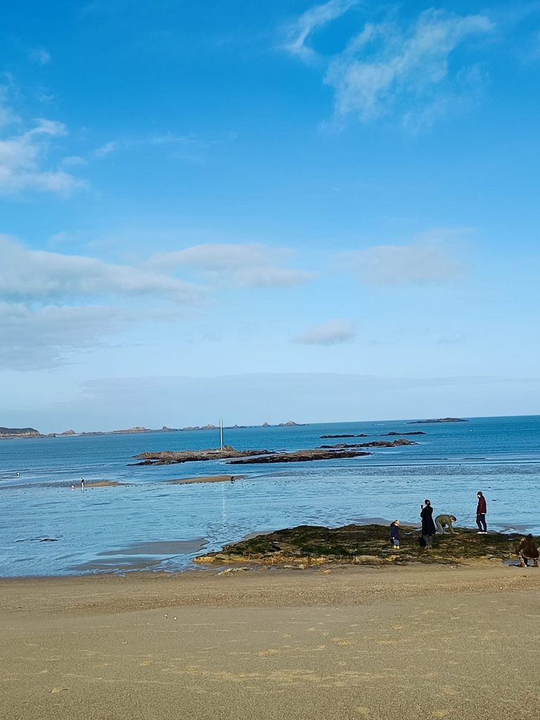 img 20260201 wa00051029520491071319959