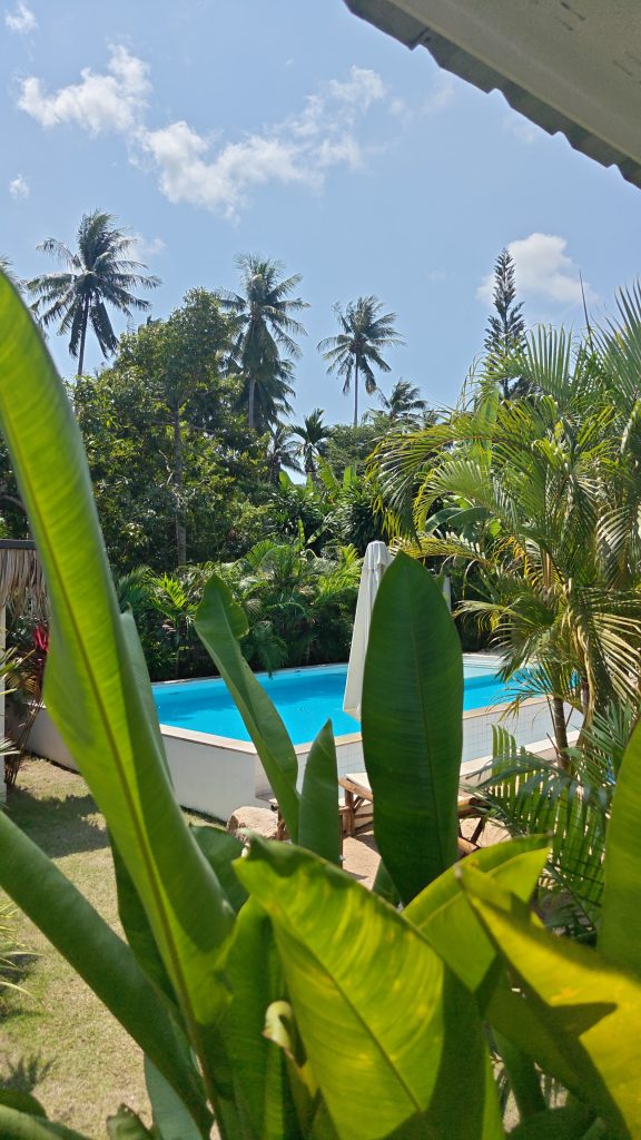 img 20260208 wa00021499842678943271420