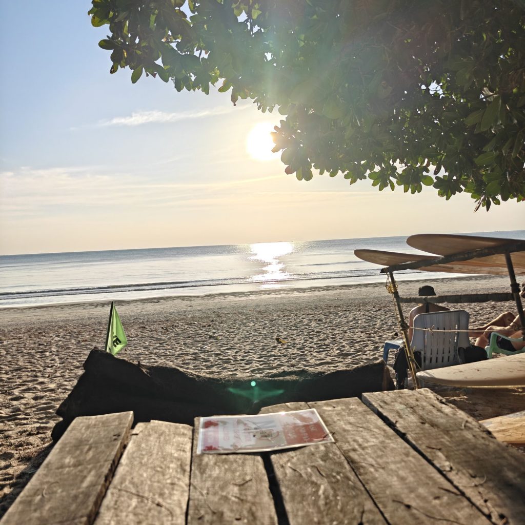 C'est déjà dimanche 15 img202601291736102578799243385901403