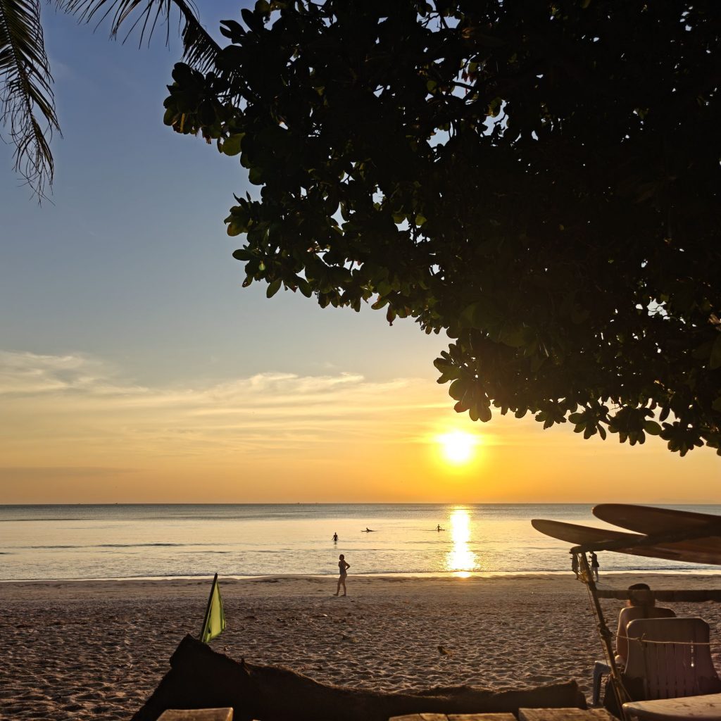 C'est déjà dimanche 1 img202601291808558134891730301993127