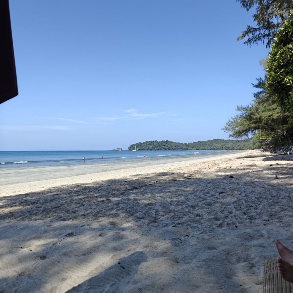 C'est déjà dimanche 4 img202601301107492100819670727901498