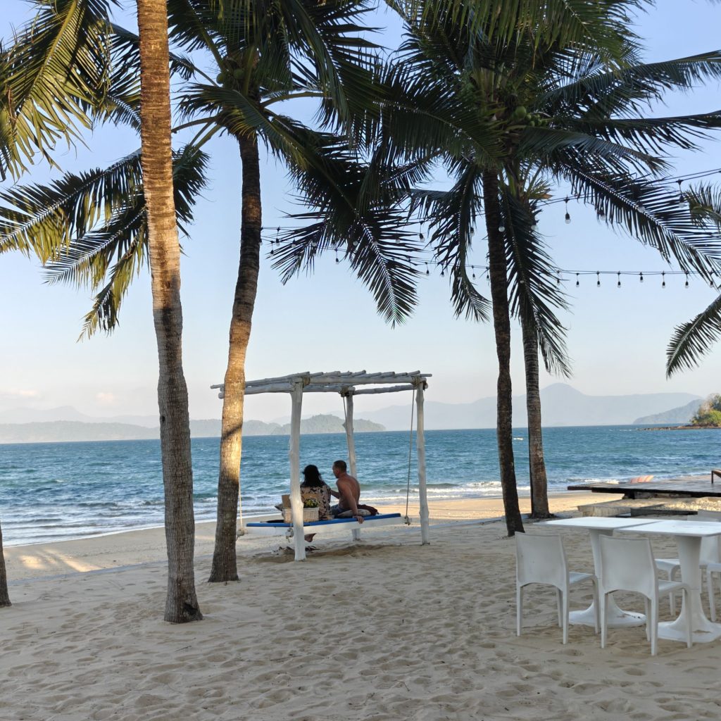 C'est déjà dimanche 5 img202601301739084216726481761799457