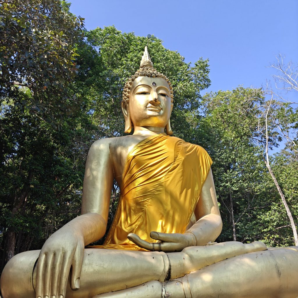 C'est déjà dimanche 8 img202601310952011680090784593817350