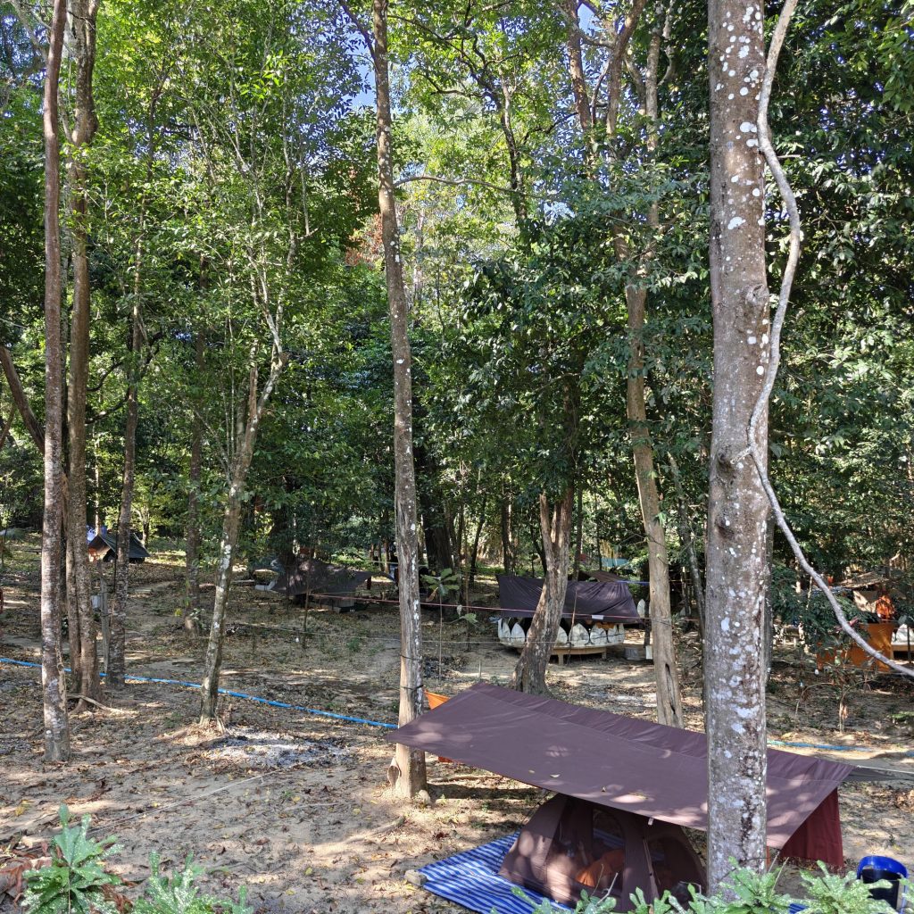 C'est déjà dimanche 9 img202601310952353852901029087338888