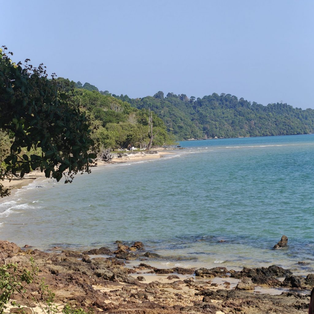 C'est déjà dimanche 10 img202601311001143776701245233545166