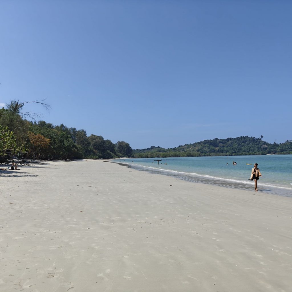 C'est déjà dimanche 13 img202601311204535705030862109240899