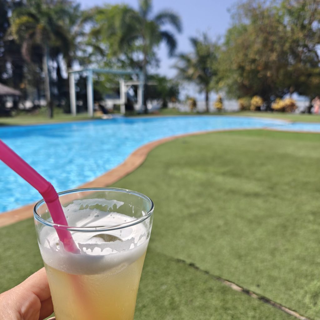 C'est déjà dimanche 12 img202601311400292989831334380177121