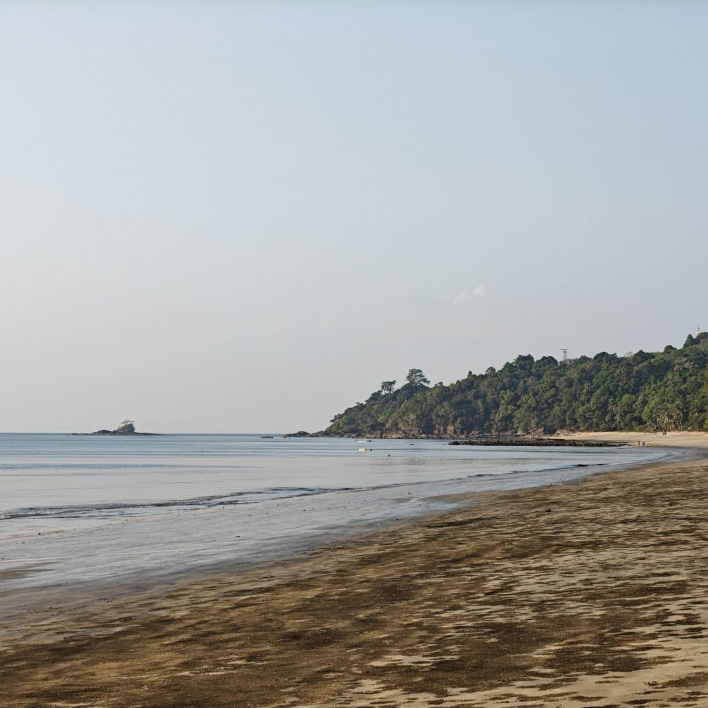 img202602011727398142743712919529608