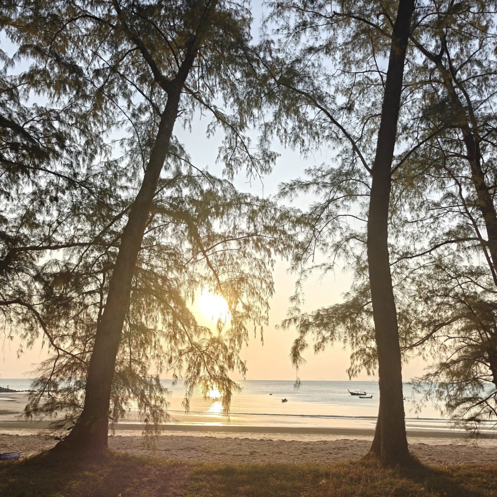 img20260201174958253908303949011320