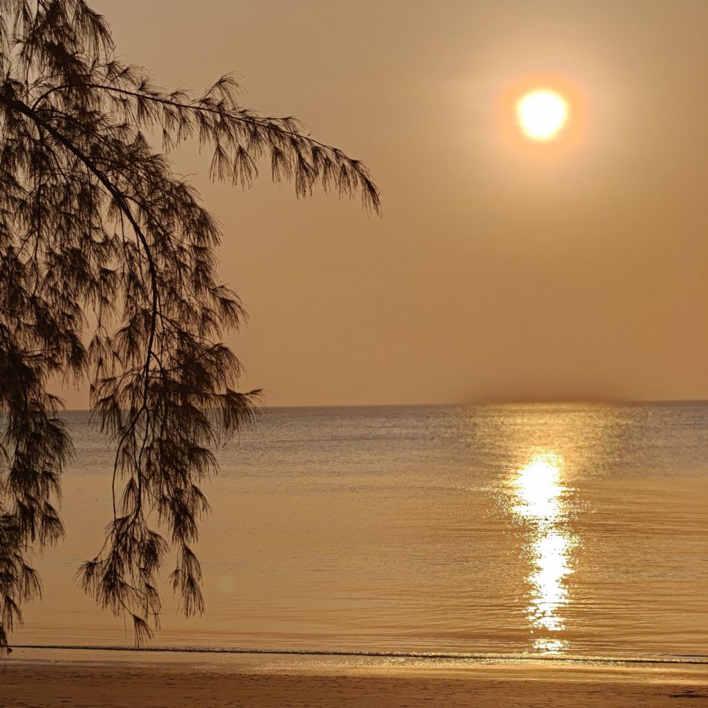 img202602011754573986385833952308827