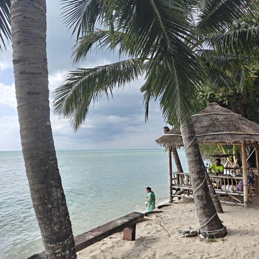 img20260204143237197039719533817950