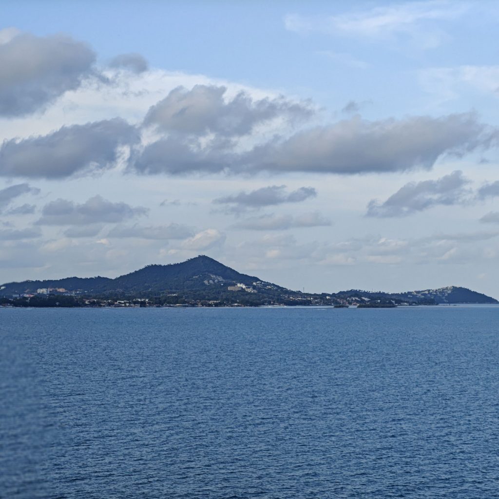 img202602071710403776442112168393831