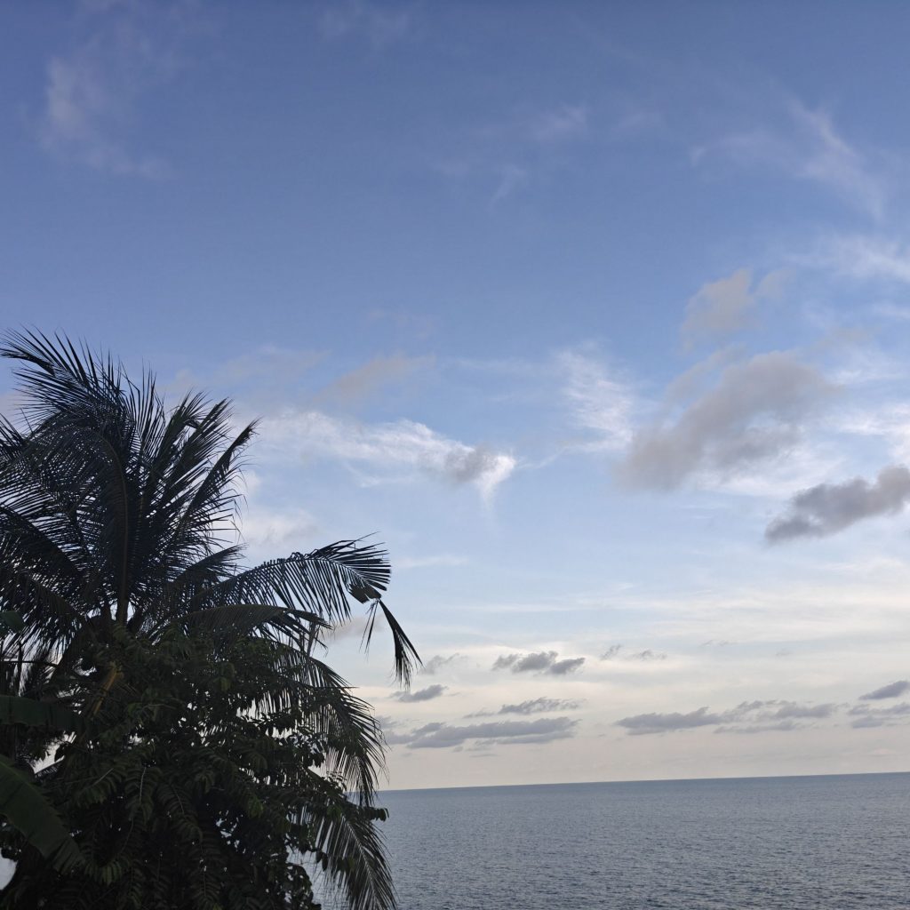 img202602071733106489345824705727124