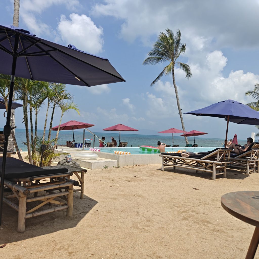 Dernier dimanche 1 img202602091301005270330119068796110