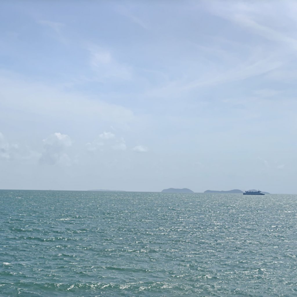 Dernier dimanche 7 img202602131110053223056151534196993