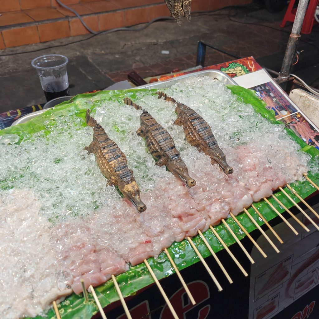 Dernier dimanche 12 img202602141842036703405713227900412