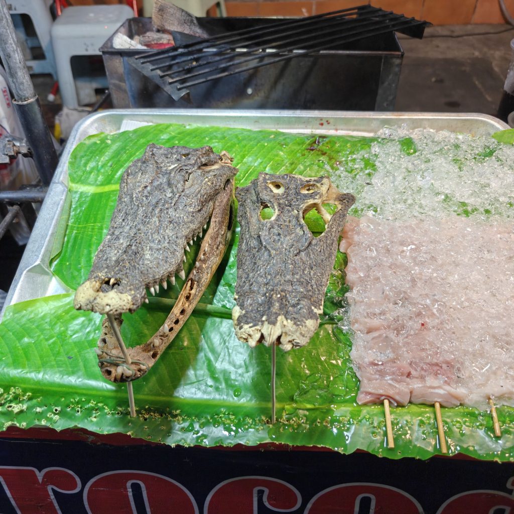 Dernier dimanche 13 img202602141842054816368457347713646