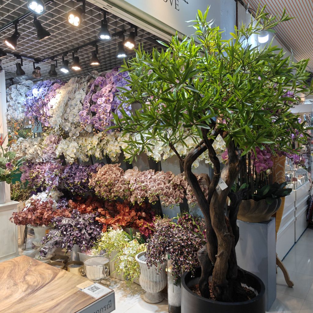 Dernier dimanche 25 img202602151101414237130473648434599