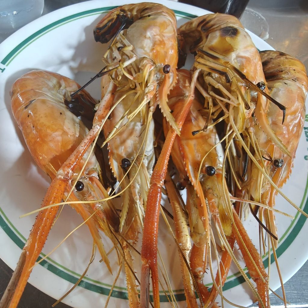 Dernier dimanche 26 img202602151856032574380920331917559