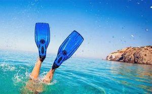 Rando palmes fin board dimanche 7 JUIN 10H45 à  St cieux  Lancieux